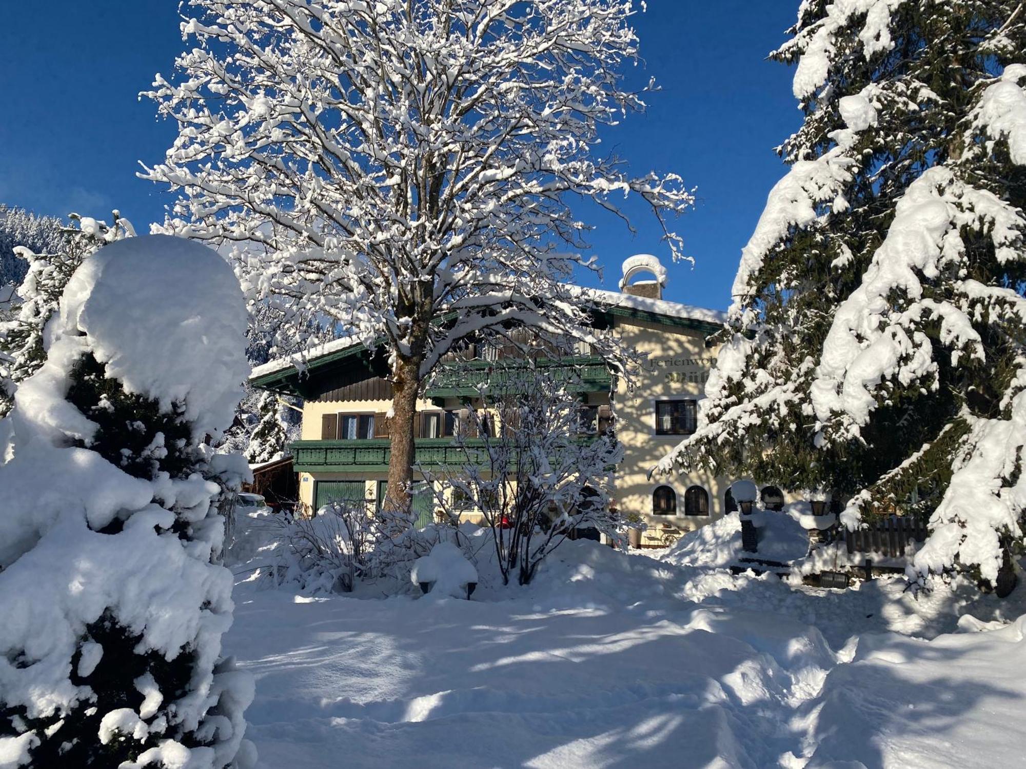 Muehlradl Apartments Gosau Εξωτερικό φωτογραφία