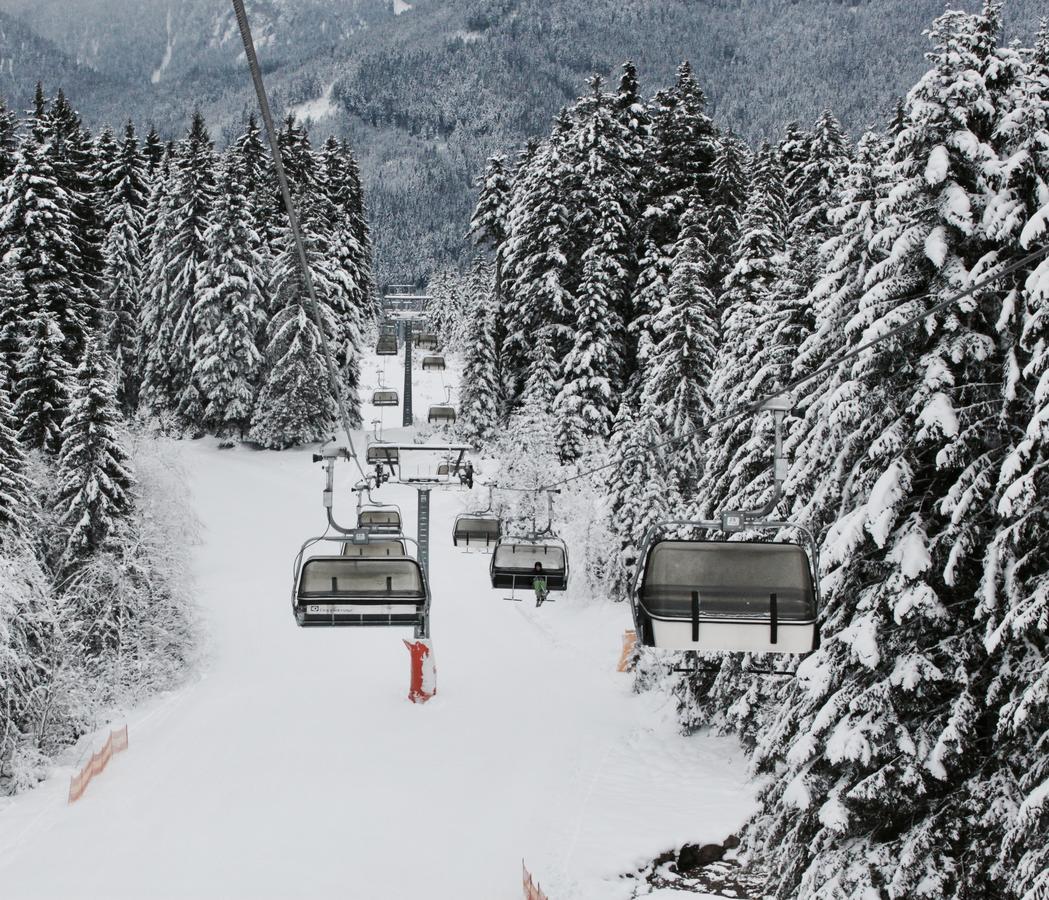 Muehlradl Apartments Gosau Εξωτερικό φωτογραφία